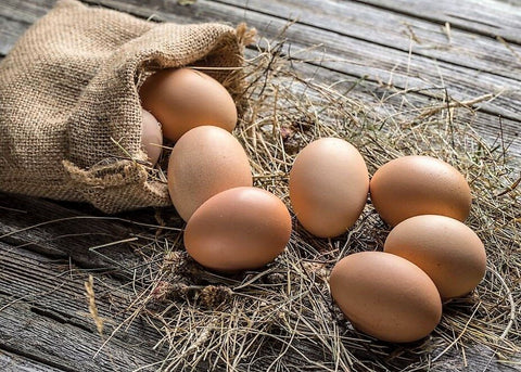 🥚 Oeufs BIO plein air 6 pièces (FR PLOURHAN)
