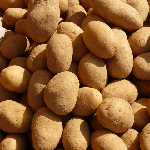 Pommes de terre