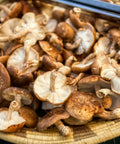 🍄‍🟫Champignons Shiitaké 200 g (FR 29)
