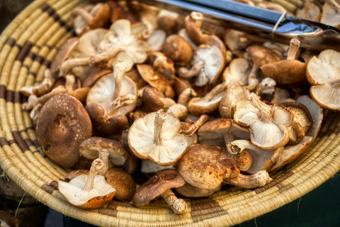 🍄🟫Champignons Shiitaké 200 g (FR 29)