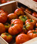 🍅Tomates ancienne 600 g (FR PAIMPOL)