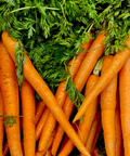 Carottes