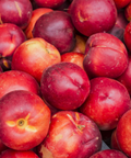 Nectarines