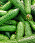 🥒Concombre 1 pc (FR MORLAIX)